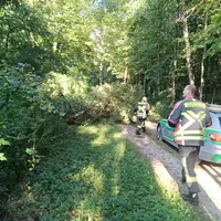IMG_20230906_173324_748.jpg
