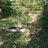 IMG_20230906_173044_924.jpg